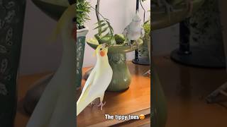 Check Out This Beforeafter