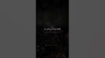 ما وَدَّعَكَ رَبُّكَ وَما قَلى | محمد صديق المنشاوي | سورة الضحى
