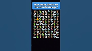 How many ducks are there in this image ? #puzzle #pahliyan #quiz #pahaliya #riddles #gk #pahaliyan
