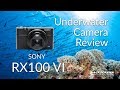 Sony RX100 VI Underwater Camera Review