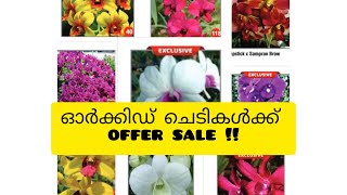 30 തരം orchid കളുടെ Offer sale! #orchid #offerprice #offersale #homegarden #garden #lowprice