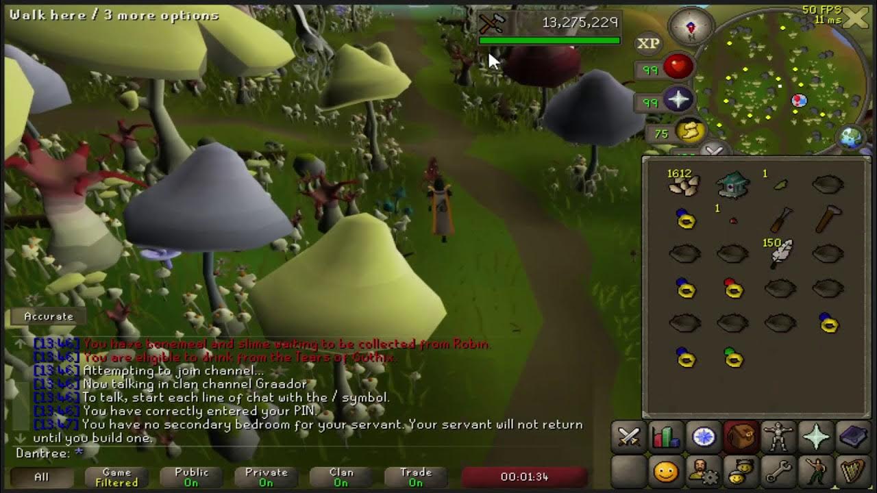 OSRS Efficient birdhouse run example YouTube