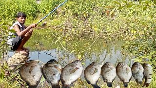 Mini Tilapia Fish Ka Shikar New Location Railway Track Nala