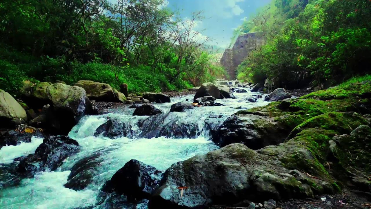 River Sound Relaxing – Tranquil Flowing Water Sounds for Sleep, Yoga and Relaxation