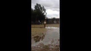 Ruby's free school Jumping