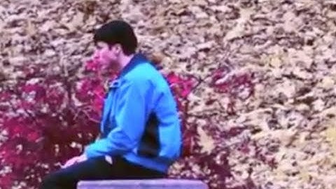 Powfu - step into my life (feat. sleep.ing)