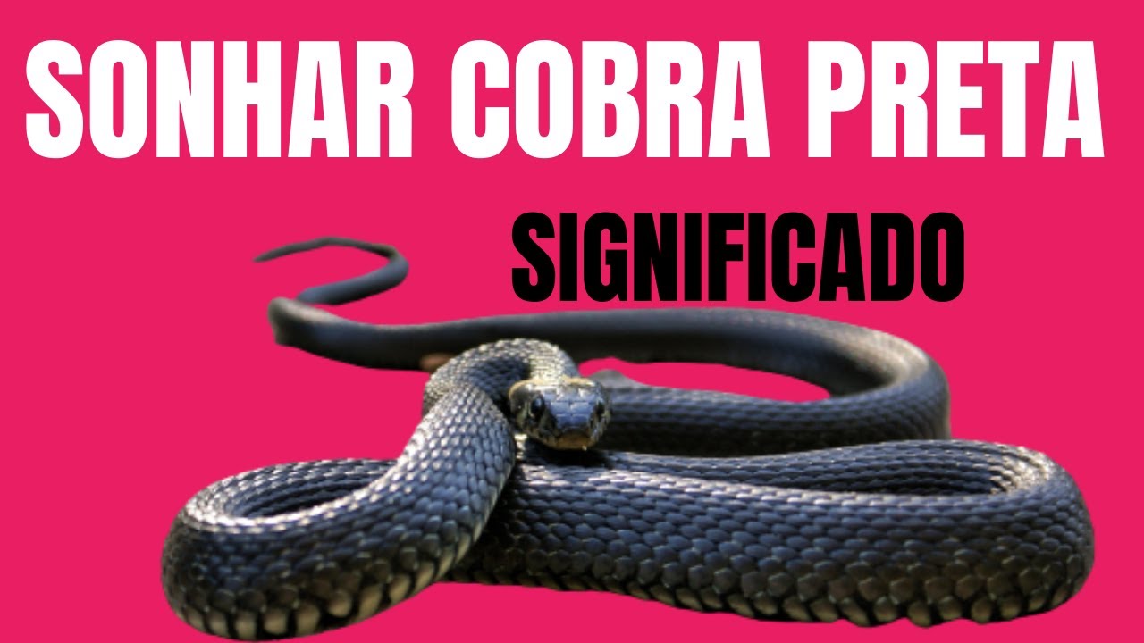 O que significa sonhar com cobra cascavel? - abstracta - Filosofia,  Sociologia e Psicologia