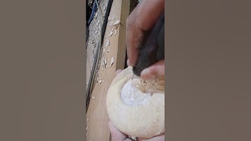 Preparing jurassic fossil ammonite