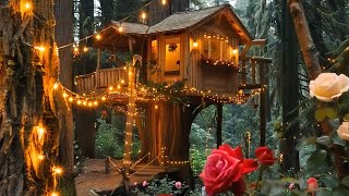 Cozy Treehouse | Nature Sounds For Sleeping, Birds Sound, Forest Sounds, Forest Ambience