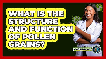 What Is The Structure And Function Of Pollen Grains? - Earth Science Answers