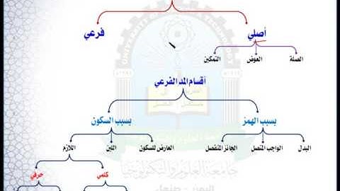 الوحدة الرابعة (مد العوض والتمكين) - مقرر مهارات تلاوة القرآن الكريم
