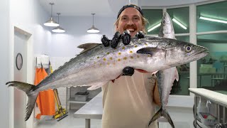 The Best Way To Fillet Spanish Mackerel