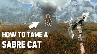Skyrim Short - How to tame a Sabre Cat Skyrim Short - How to tame a Sabre Cat
