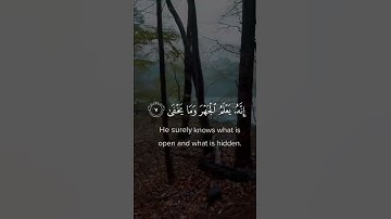 تلاوة مريحة للقلب بصوت القارئ عبدالرحمن مسعد ❤️