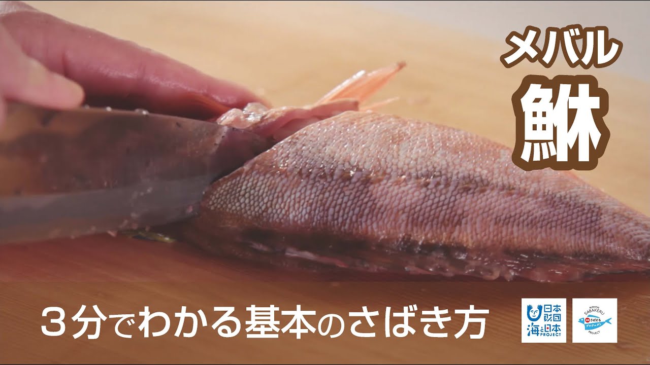 鮴 めばる のさばき方 How To Filet Rockfish 日本さばけるプロジェクト 海と日本プロジェクト Youtube