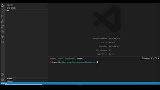 How to setup corporate proxy for Flutter Project