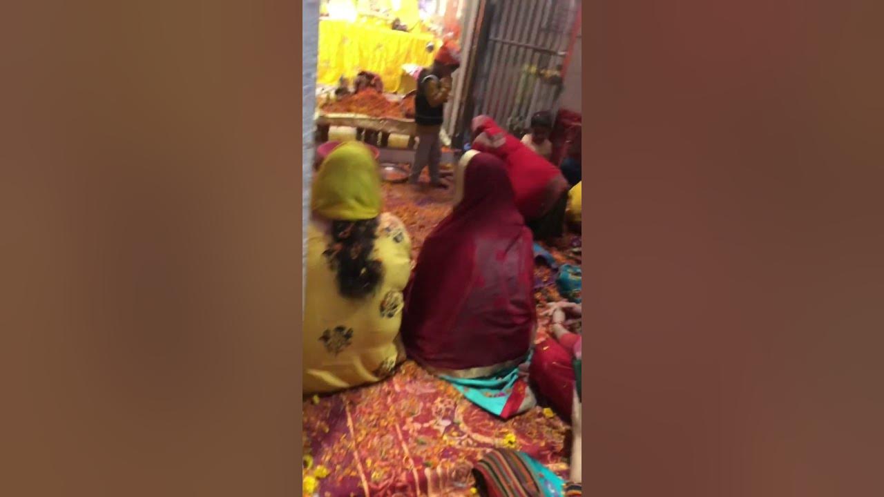 Calibration flowers 💐 holi in vrindavn bali kutia shorts vrindavan barsana YouTube