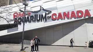 Family meeting in Toronto