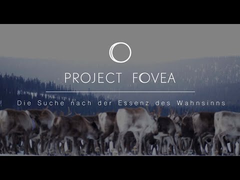 Project Fovea – Filminterviews zum Auswandern nach Schweden