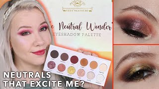 Dede Signature Neutral Wonder Palette Swatches 2 Looks