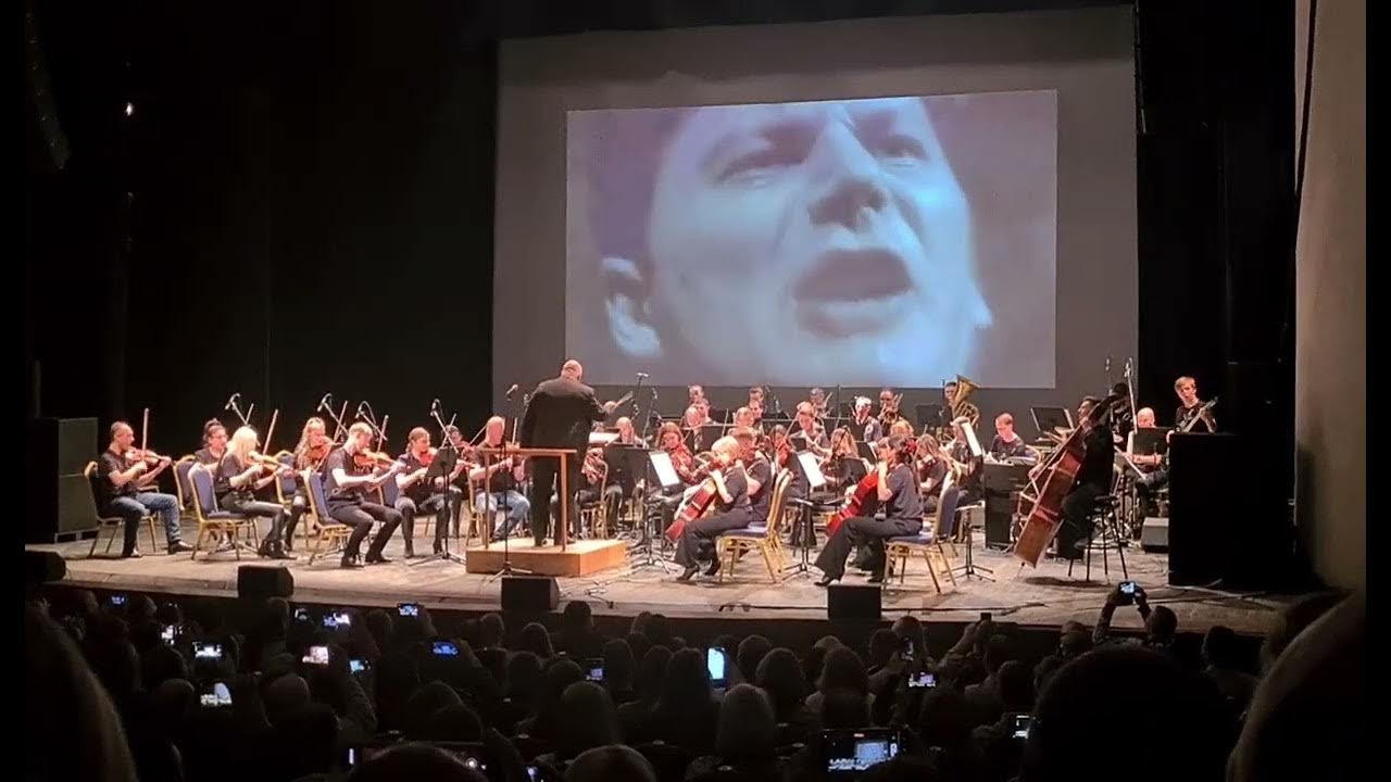 Оркестр воронежской филармонии. Воронежский симфонический туман слушать. Синий оркестр. Концерт симфонического оркестра. Воронежский симфонический оркестр туман на крыше.