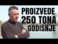 GODISNJE PROIZVEDE 250 TONA LUBENICE