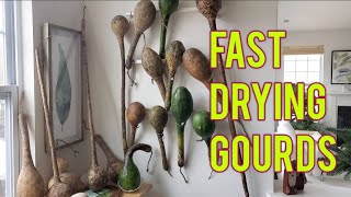 How To Dry Gourds Fast, Uses and Preventing Rot