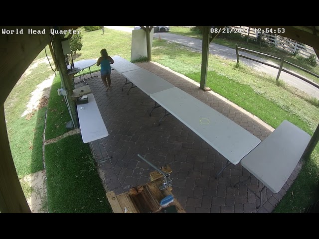 Mango Thief View 2