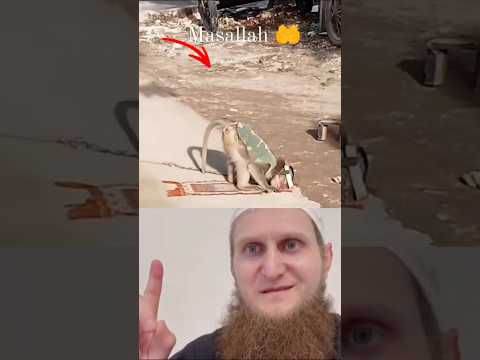 يامن تنظر إلى هاذا القرد وهوا يصلي استحلفك بالله بأنك لا تقلب الفديو قبل أن تكتب ماشاء الله