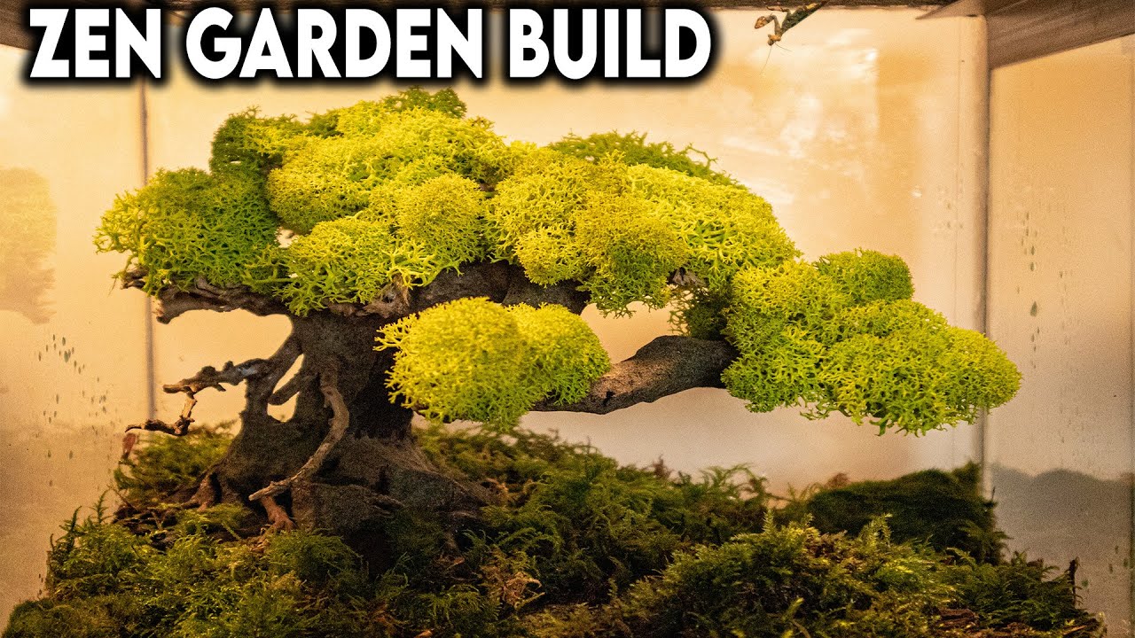 Creating a Bonsai Garden Enclosure [DESIGN] YouTube