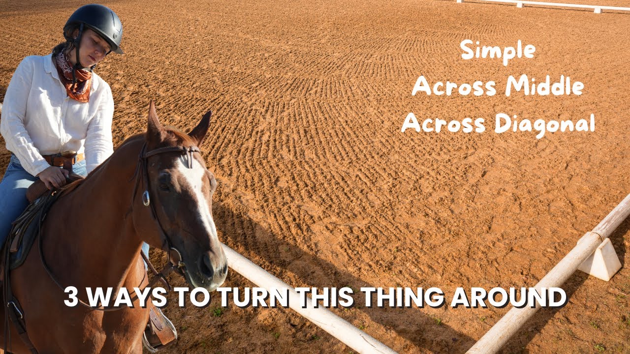 3 ways to change directions while riding your horse: simple change, across the middle, and diagonal