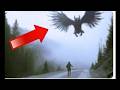 5 videos de señales del apocalipsis! La LLUVIA DE PECES es realmente un signo del APOCALIPSIS?