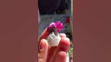 Ruby from Afghanistan || #short #shortvideo #gemstone #ruby #shorts