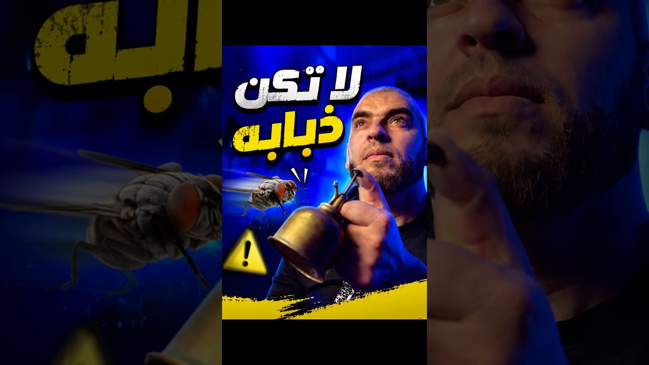لا تكن ذبابة 🫣
