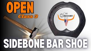 Sidebone Bar Shoe | Open Class 3 (2 of 2)