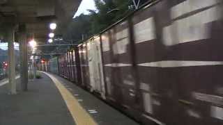 1096レ　牽引機ＥＦ66-117　函南駅通過