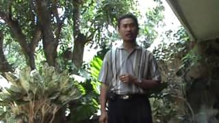 Download Lagu LAGU SEGO GANDUL PATI By CUK W MP3