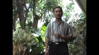 LAGU SEGO GANDUL PATI By CUK W