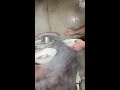 In Linyi Shandong People Drink Porridge Soup 5 Yuan Per Bowl With Mellow Taste And A Little Spi In Linyi Shandong People Drink Porridge Soup 5 Yuan Per Bowl With Mellow Taste And A Little Spi