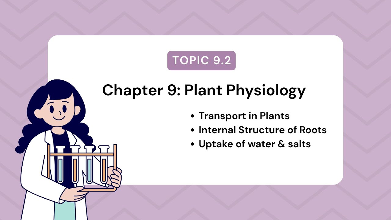 Topic 9.2 | Transport in Plants | Chapter 9 | Plant Physiology - YouTube