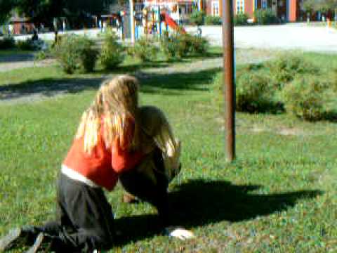 Knulla hund Knulla hund