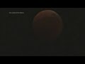 Stargazers in Asia enjoy lunar eclipse | Radio Free Asia (RFA)