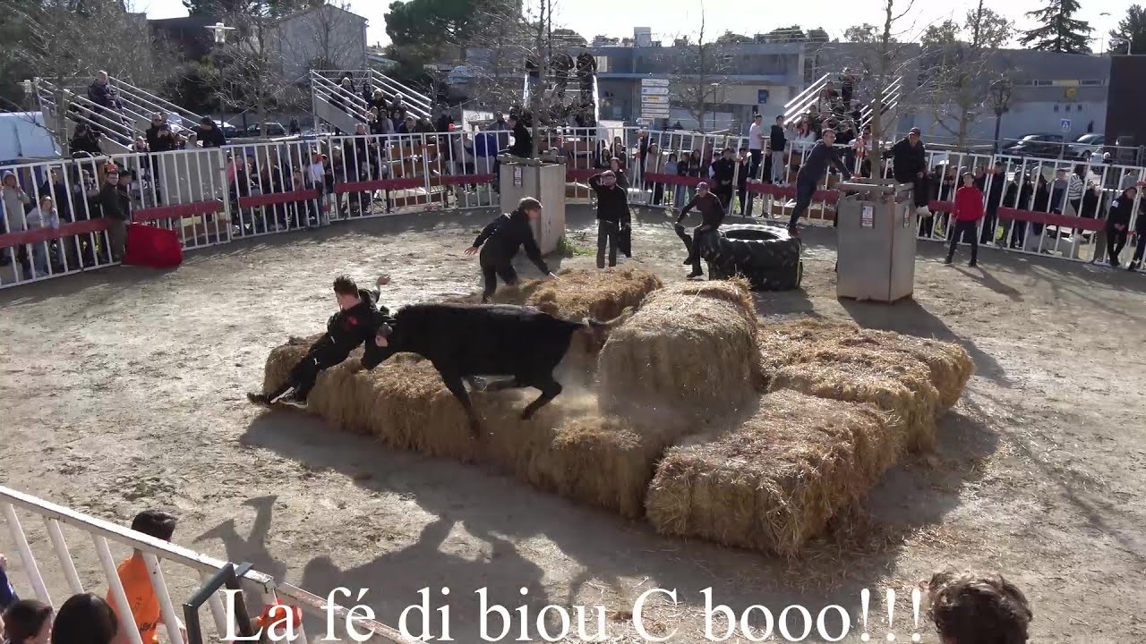 LUNEL ▶COURSE AU PLAN◀ 11.02.2024.