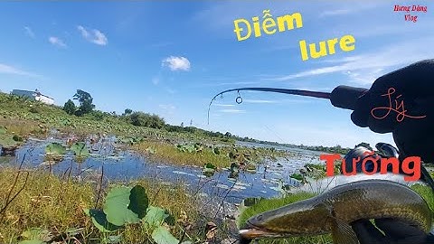 Hưng Đăng vlog.lure cá lóc lâm đồng.Một điểm câu lure tuyệt đẹp..