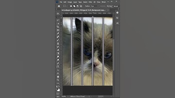 Remove A Cage Very Quickly In Photoshop.