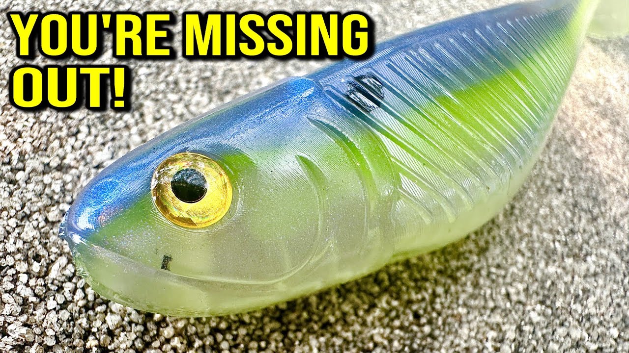 Want to Catch More Fish? These Baits Are the Real Secret
