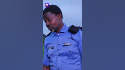 feelings | Mr Macaroni | obg recent  | Brainjotter  | pouma funkie