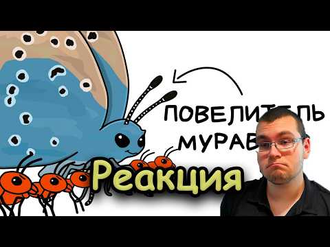 Ты - Голубянка (И ЭТО ВСЯ ТВОЯ ЖИЗНЬ) || РЕАКЦИЯ На Setonix