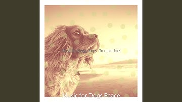 Excellent Moods for Serene Puppies