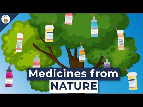 Lifesaving Medicines Made From Plants You&rsquo;ve Never Heard Of